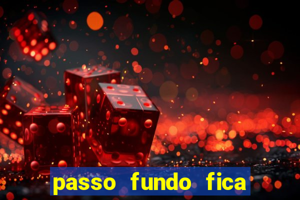 passo fundo fica perto de qual cidade